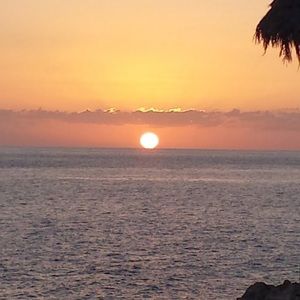 Meet your Posher, Melita